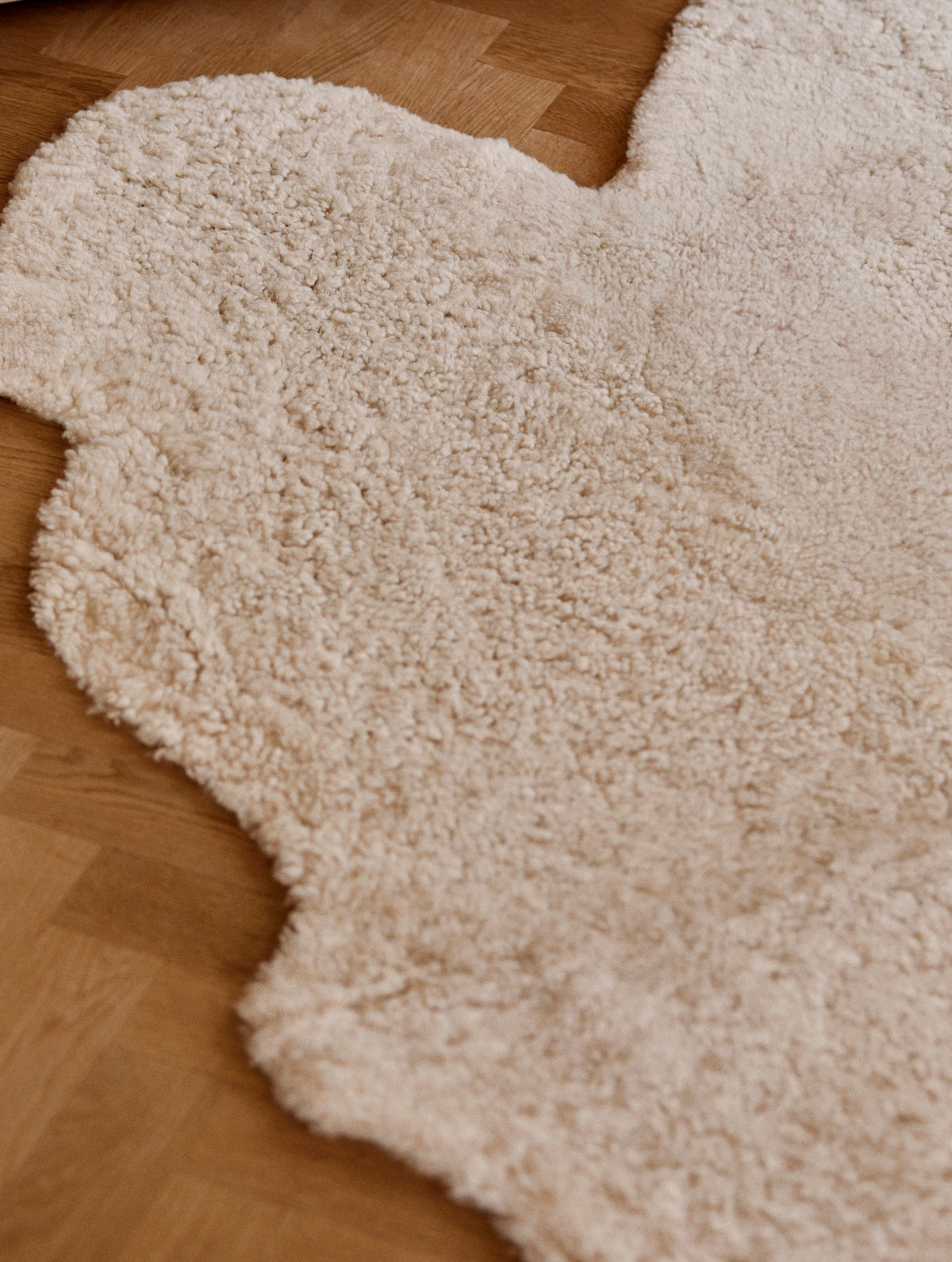 New Zealand Sheepskin | Short Curly Wool | Rug 35 in Anthracite