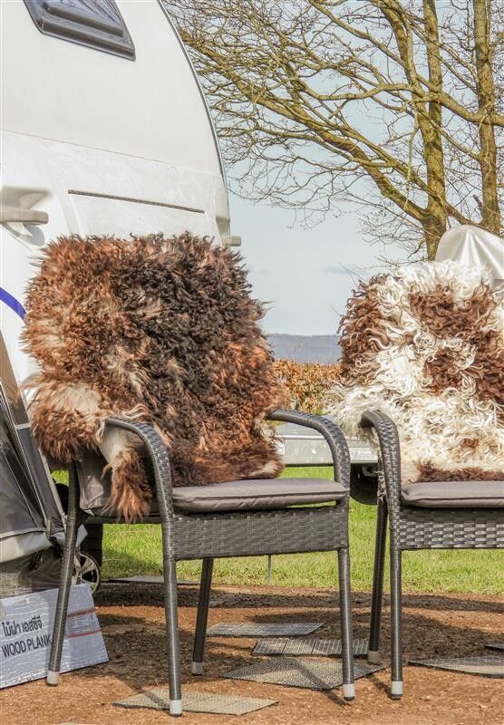 Austrian Sheepskin | Curly | Natural Colors | 35 in Grey Beige