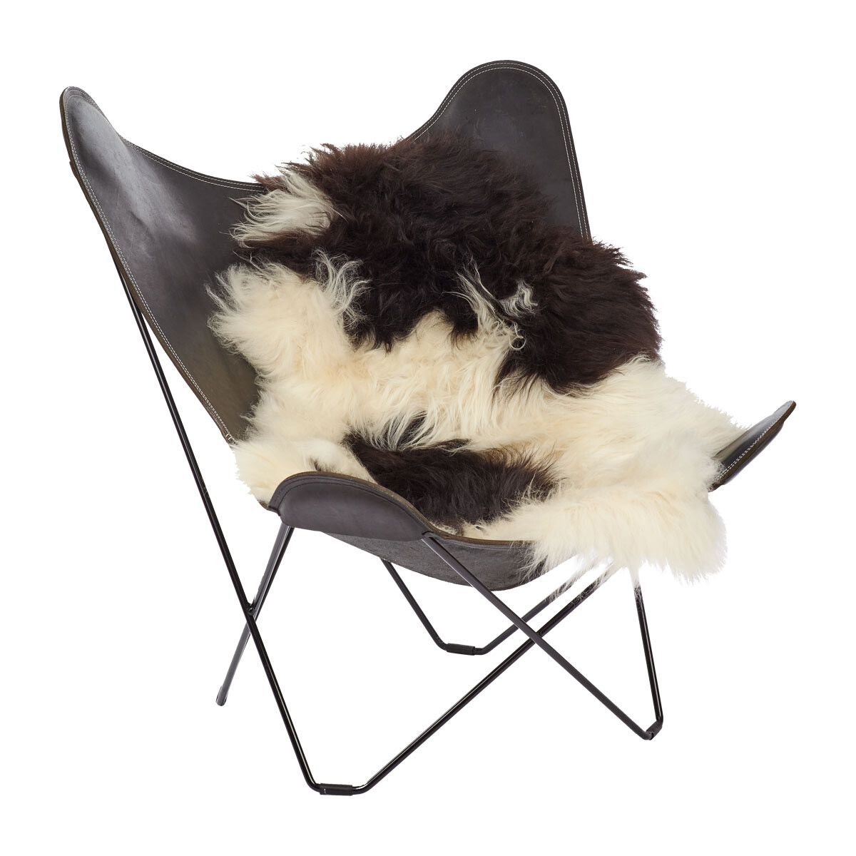 Icelandic Sheepskin | Long Wool | 35 in Spotted