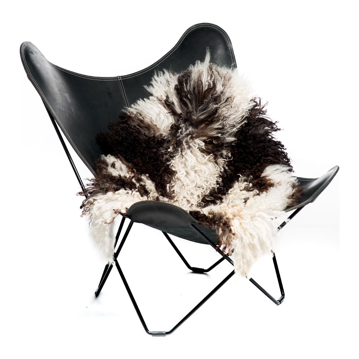 Austrian Curly Sheepskin | Natural Colors | 35 in Mix/Spotted