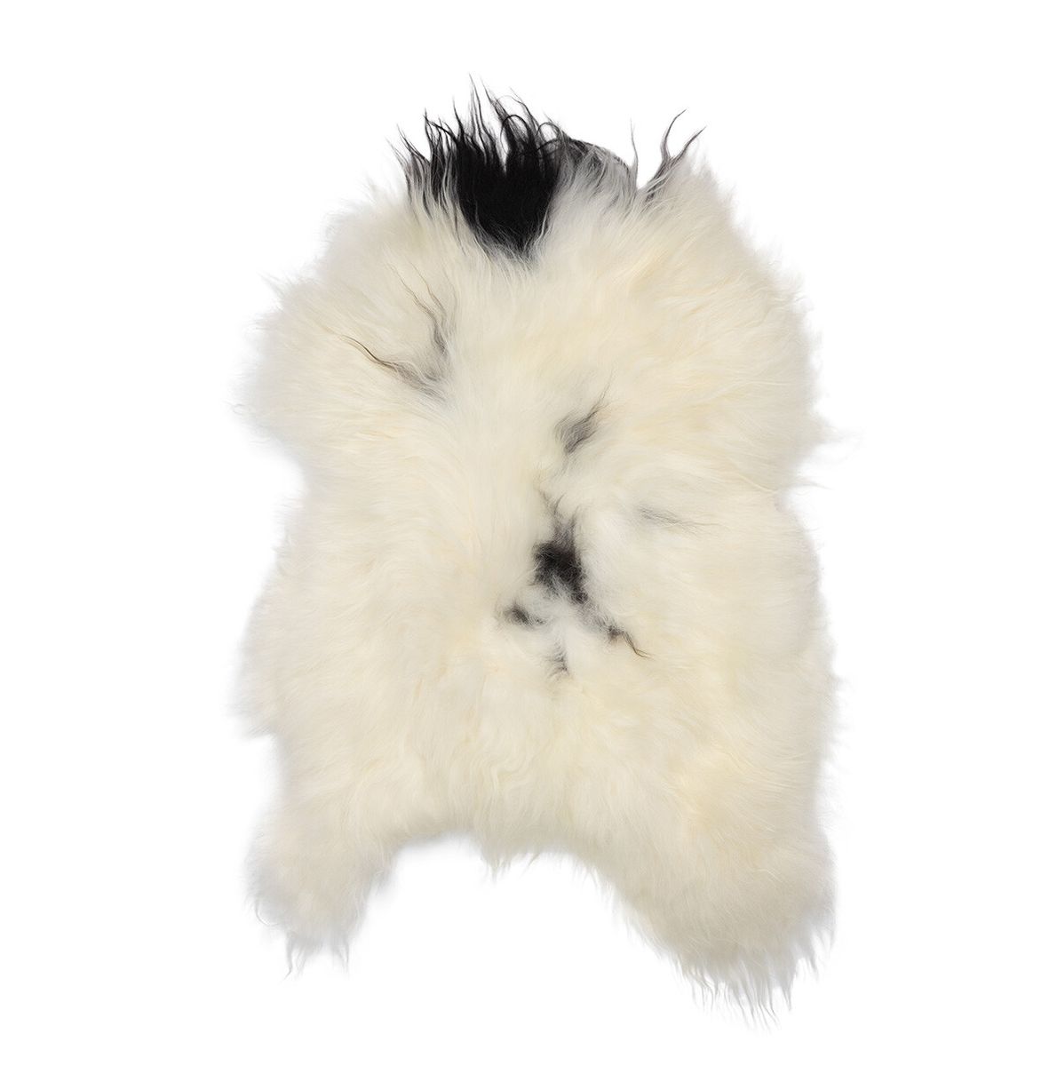 Icelandic Sheepskin | Long Wool | 35 in Spotted