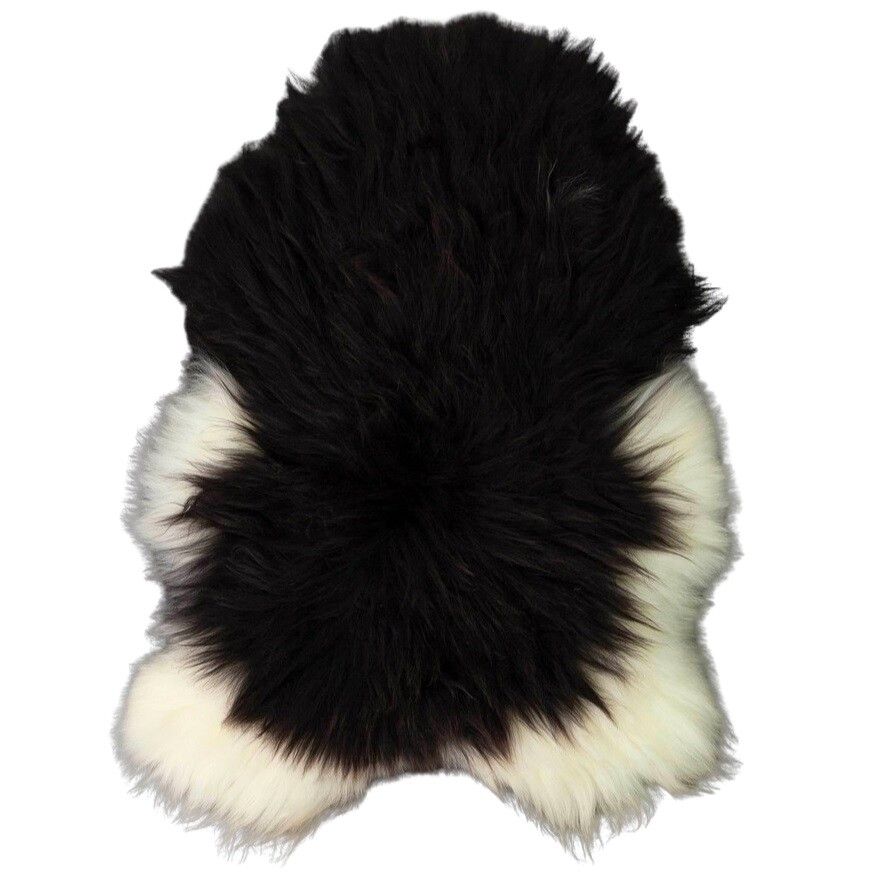 Icelandic Sheepskin | Long Wool | 47+ in Spotted