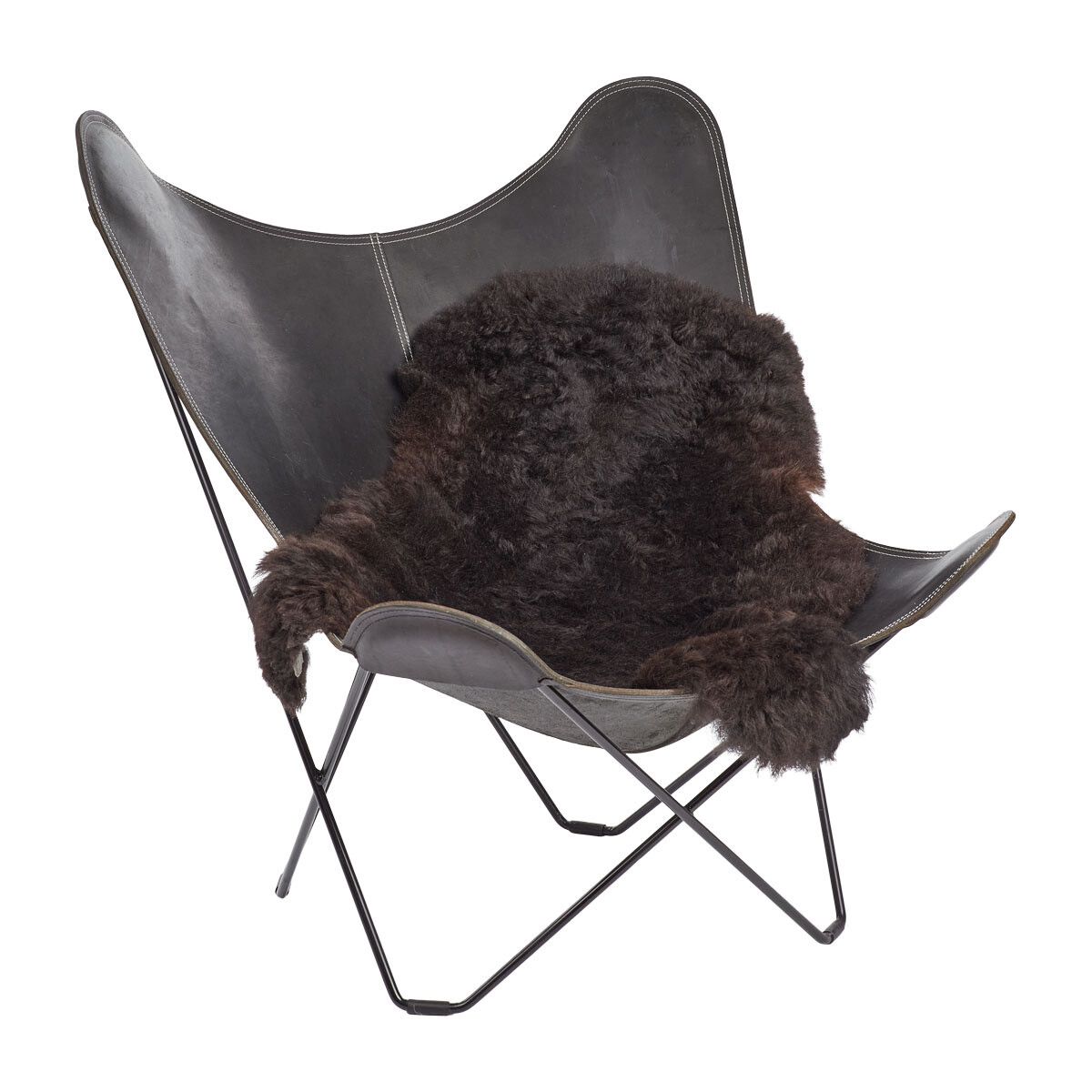 Icelandic Sheepskin | Short Wool | 35-39 in Blacky