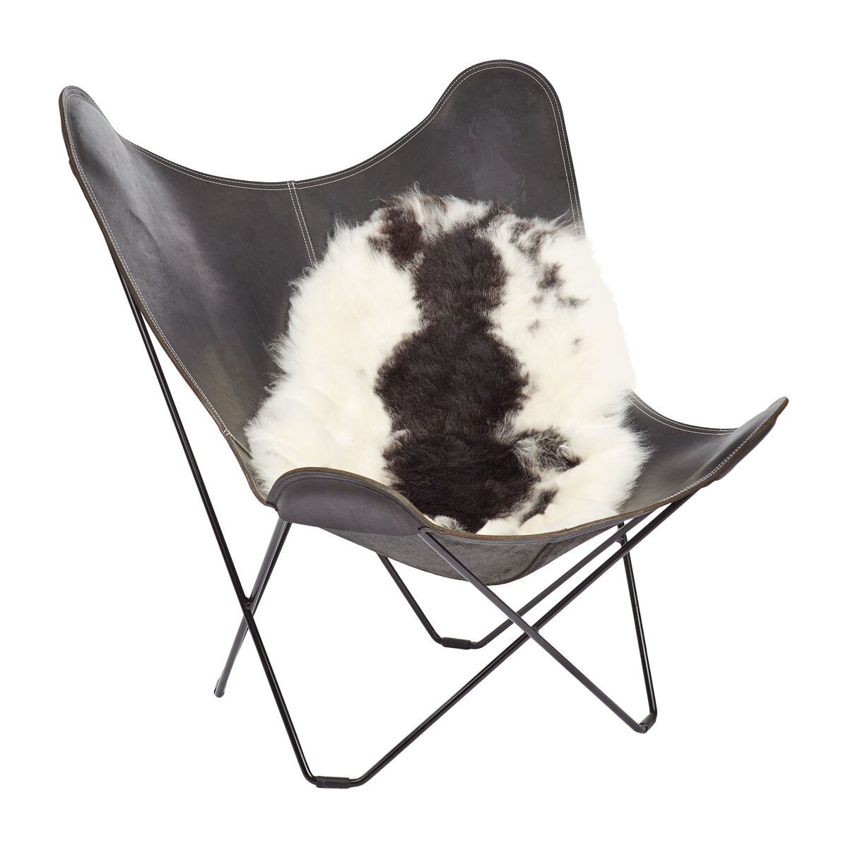 Icelandic Sheepskin | Short Wool | 35-39 in