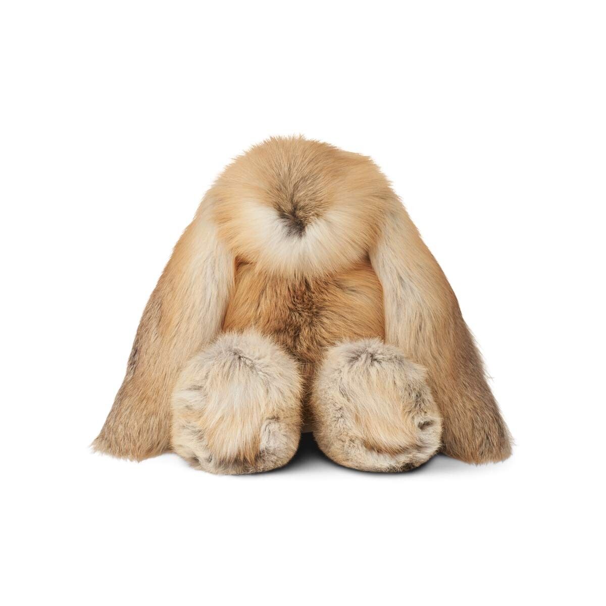 Teddy | Fox