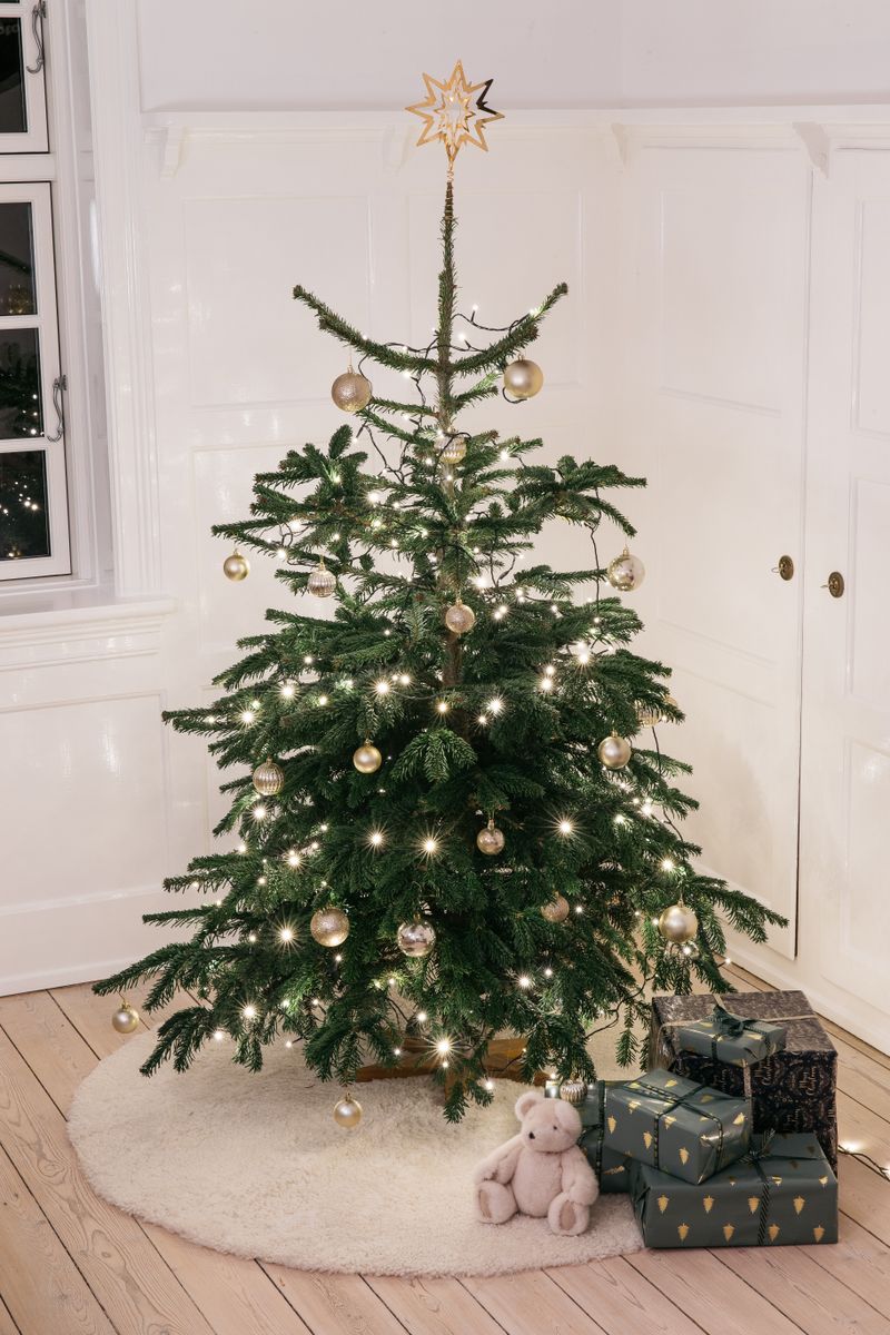 Short Wool Curly Sheepskin Design Rug | D71 in Pearl