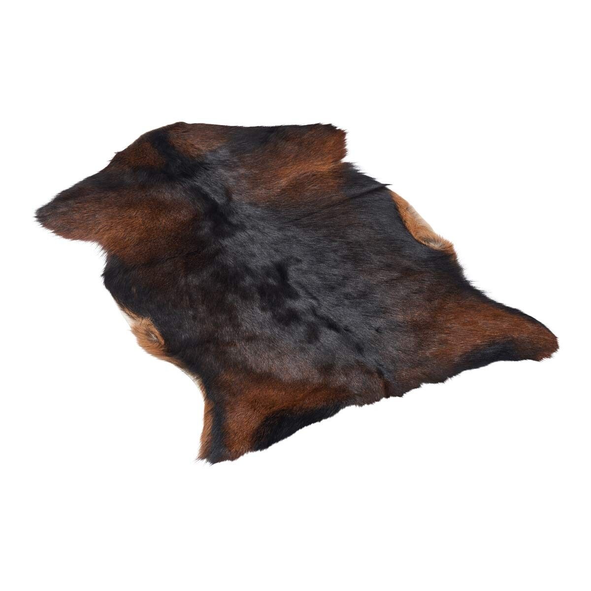 Premium Goat Skin | Short Wool Dark Brown