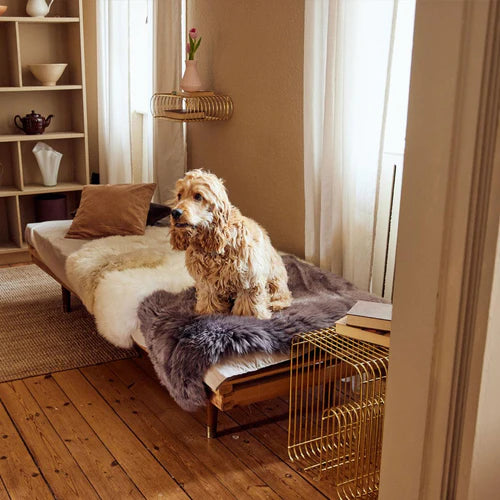 Natural sheepskin for your favourite pet