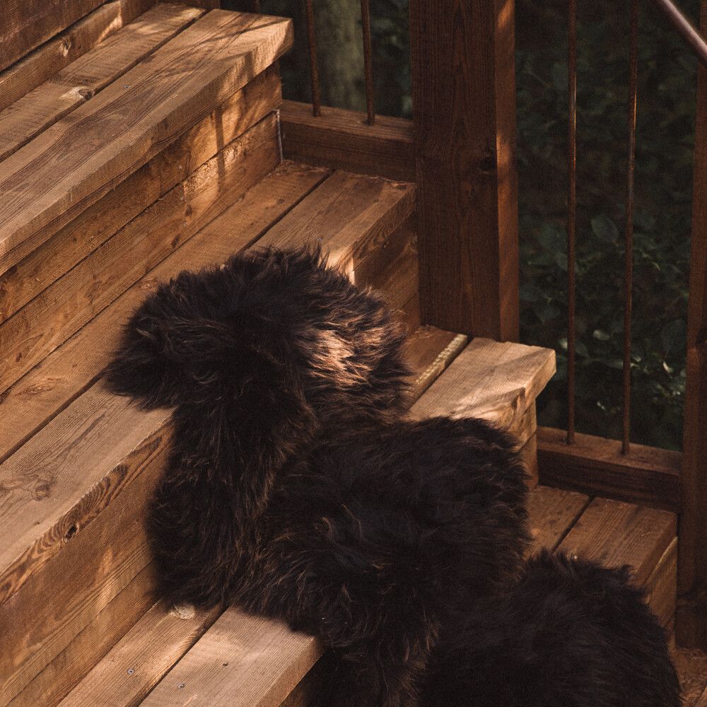 New Zealand Sheepskin | Long Wool | Rug 71 in Aubergine