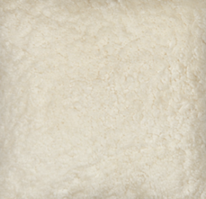 Short Wool Curly Sheepskin Shell Design Rug | 83x59 in Ivory