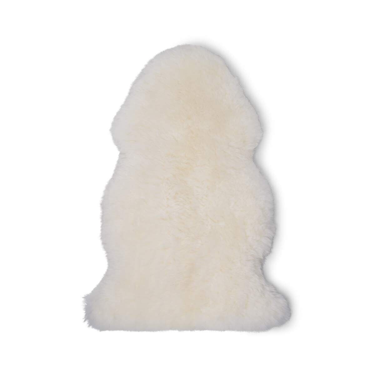 UK Sheepskin | Short Wool | 47+ in Off White