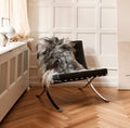 Austrian Sheepskin | Curly | Natural Colors | 35 in