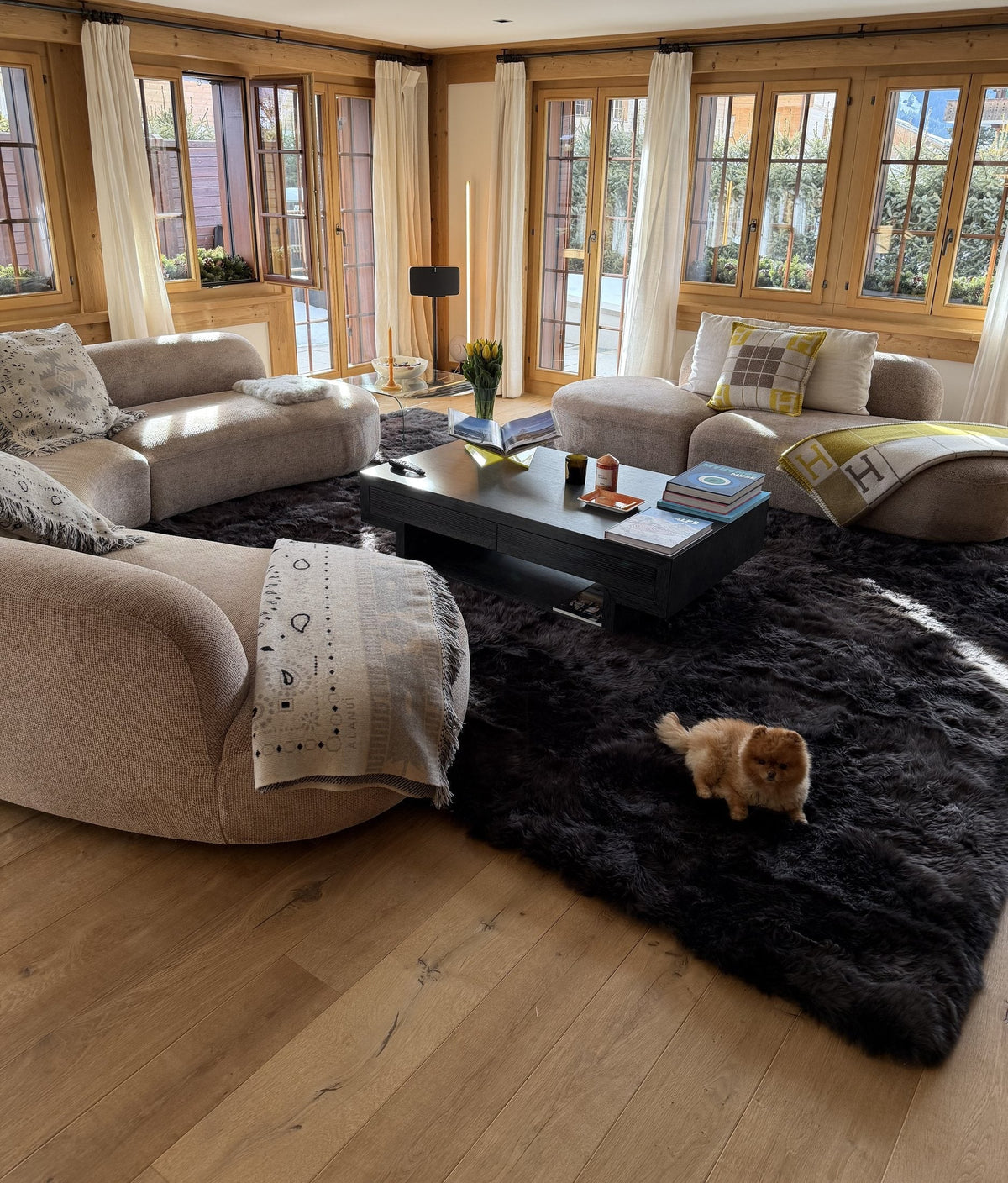 Large dark long-wool sheepskin rug between two sofas in a bright, wood-framed living room, with a small dog on the rug